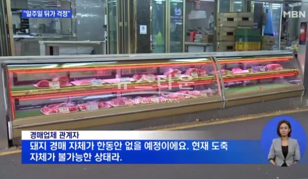 (사진 : MBN)