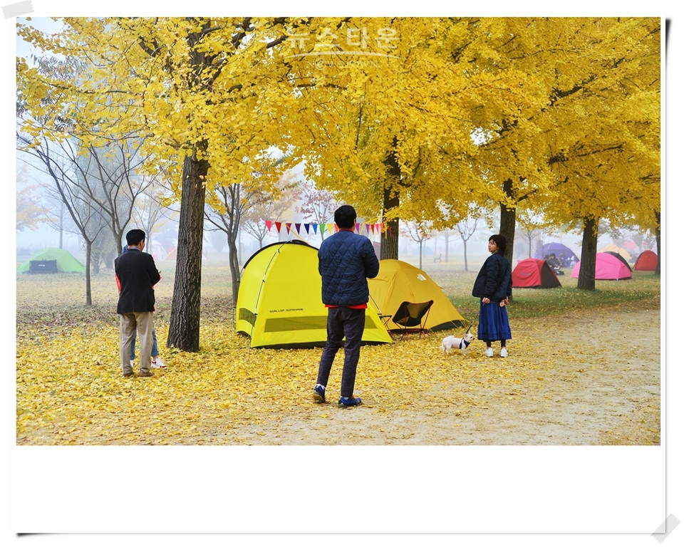 여주시 강천섬의 가울풍경