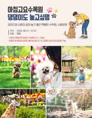 애견동반입장 시범운영 포스터