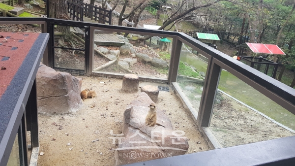 새롭게 단장된 진양호동물원