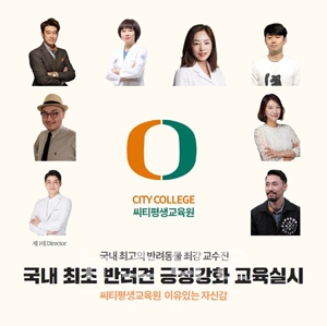 씨티평생교육원