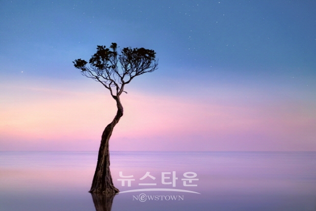 김석은 사진작가 개인전 인터뷰