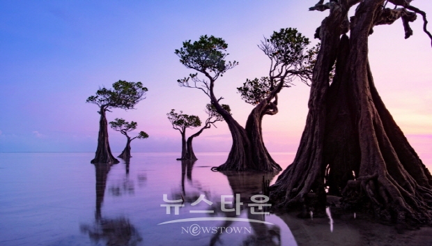 김석은 사진작가 개인전 인터뷰