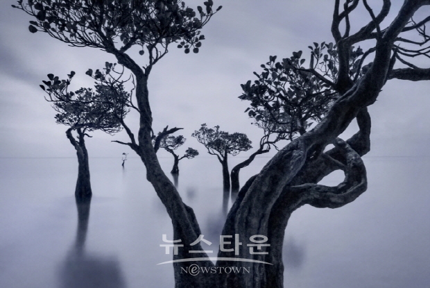 김석은 사진작가 개인전 인터뷰