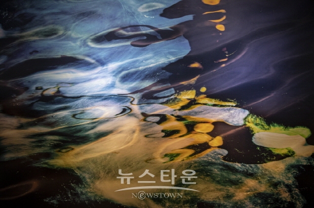 사진작가 이아린, 자연의 신비 감상하는 ‘나를 비추고 너를 담는다’展 (김한정 기자)