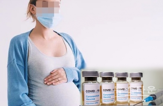 CDC는 지금까지의 연구에서 임신부의 백신 접종에 대해 안전성에 대한 염려는 없는 것으로 확인됐다고 설명했다. 백신 접종 후에도 유산 확률은 높아지지 않았다고 한다.