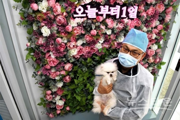 시흥시 동물누리보호센터, '강아지들이 새 가족의 품 기다리며'