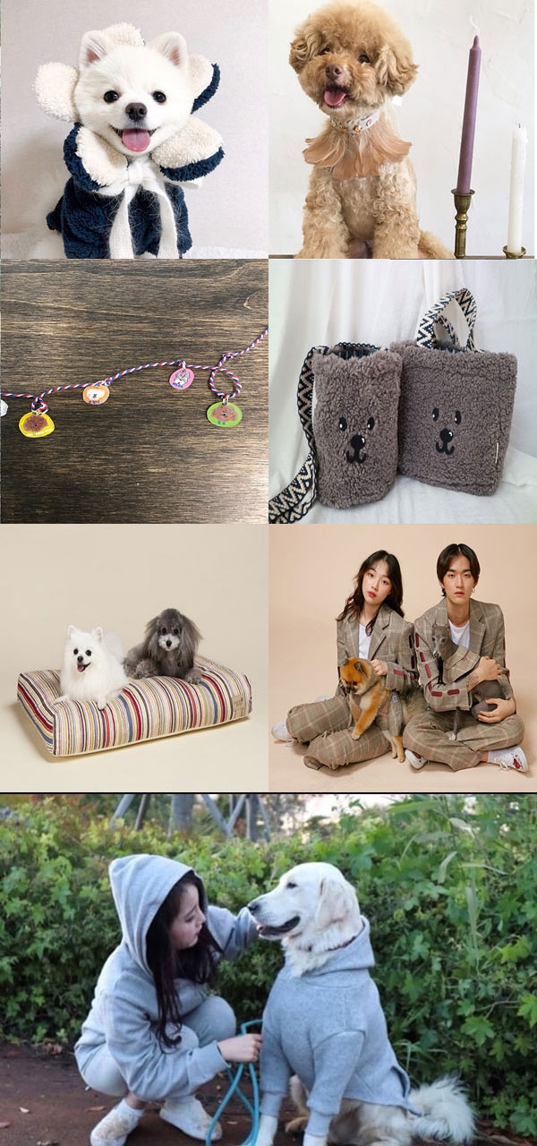 (사진 : 매일매일, 블루맘부띠크, 컨셉나인, 일루와일루와, 마스코트, 건강한펫, 니드포펫, 헉스바이하츠)