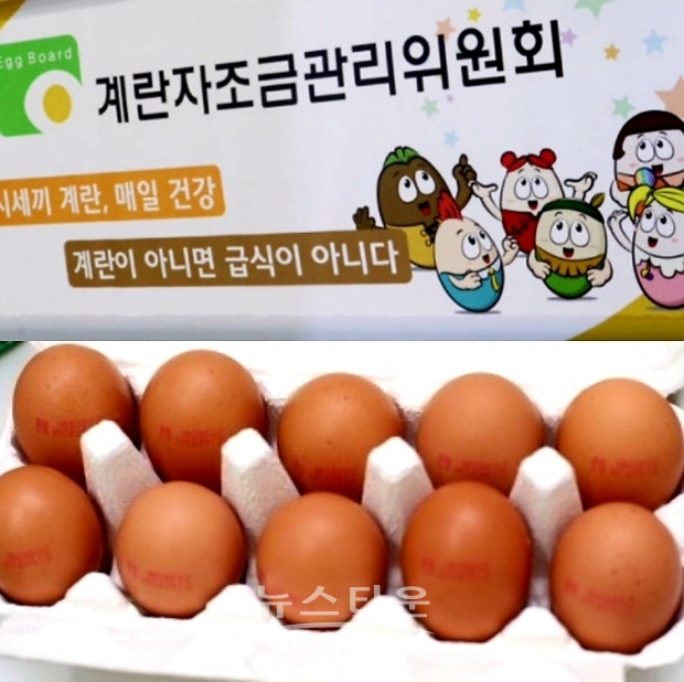 계란자조금관리위원회 이미지 사진