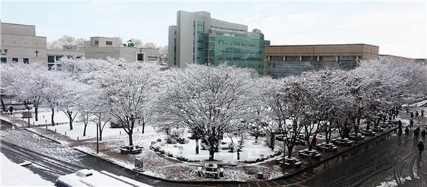 숭실사이버대학교