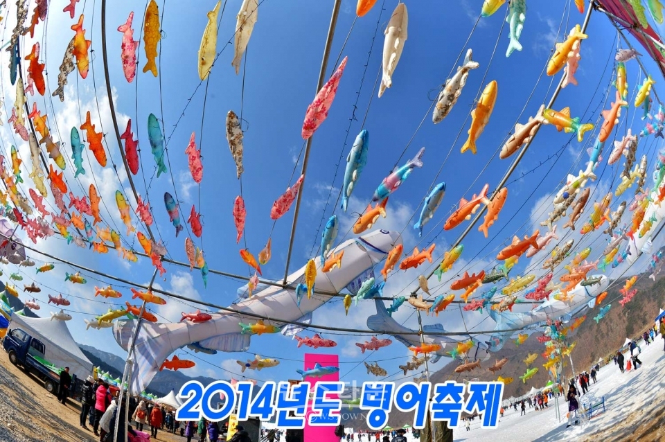 인제빙어축제