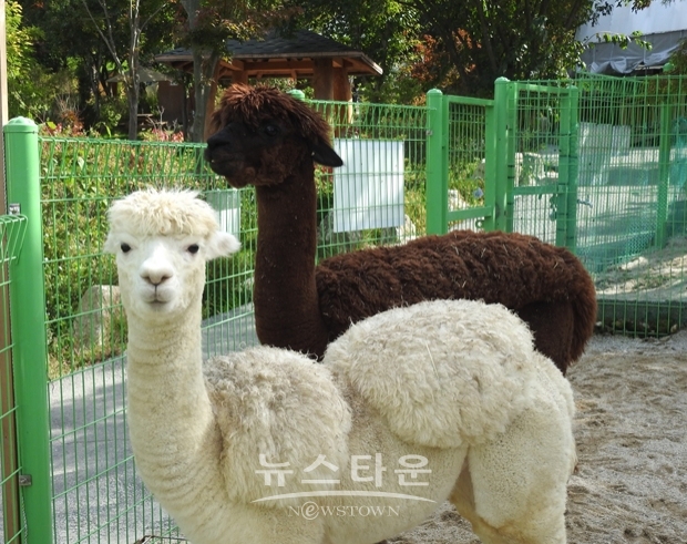 아침고요가족동물원