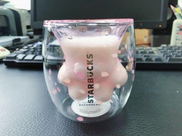 스타벅스 ‘고양이발 컵’.