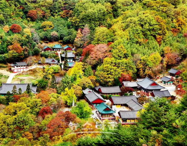 하동 쌍계사