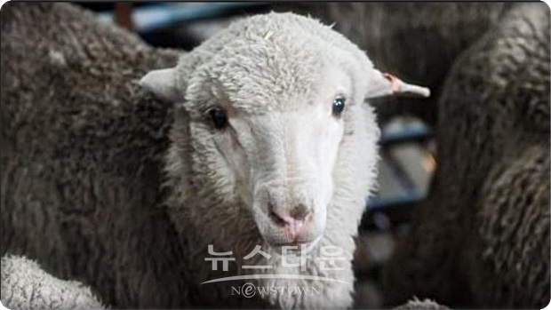 연구팀은 장기간 동결 보존을 해도 생식 기능이 유지됐다는 사실은 예를 들어 화학요법을 받기 전에 정자의 동결 보존을 희망하는 남성 등에도 희소식이 있다는 지적을 하고 있다. 게다가 멸종위기 종을 구하는 대처에 있어서도 큰 도움이 될 수 있다며 큰 기대를 걸고 있다.
