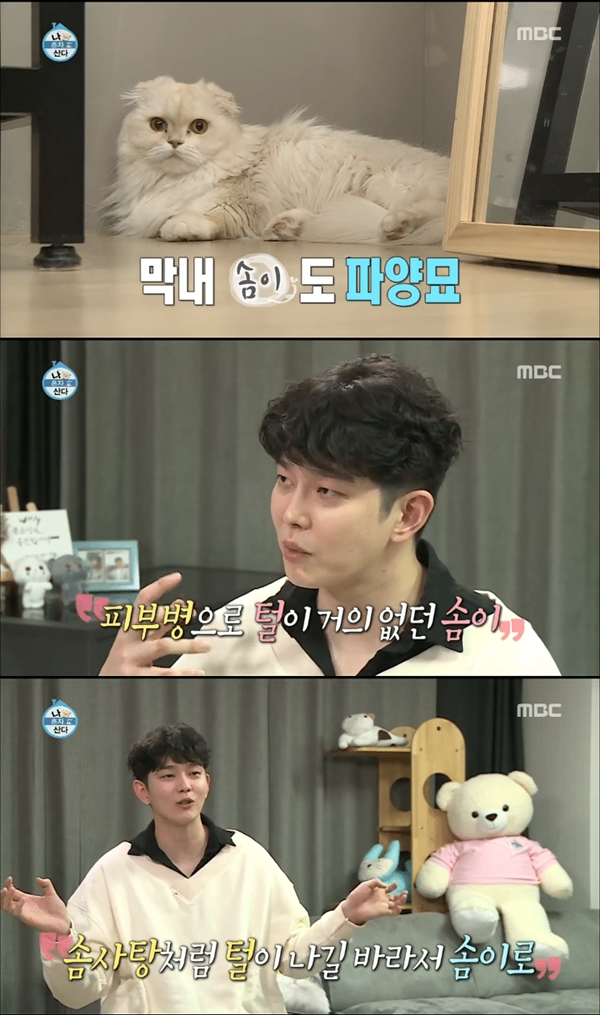 윤균상 고양이 헤어볼 (사진: MBC '나혼자산다')