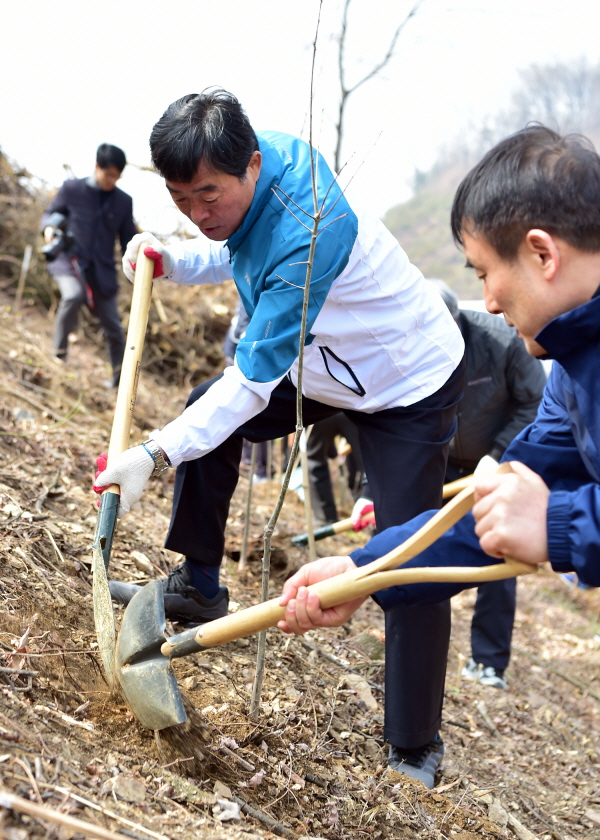 윤화섭 안산시장이 5일 열린 제74회 식목일 나무심기 행사에서 수목을 식재하고 있다