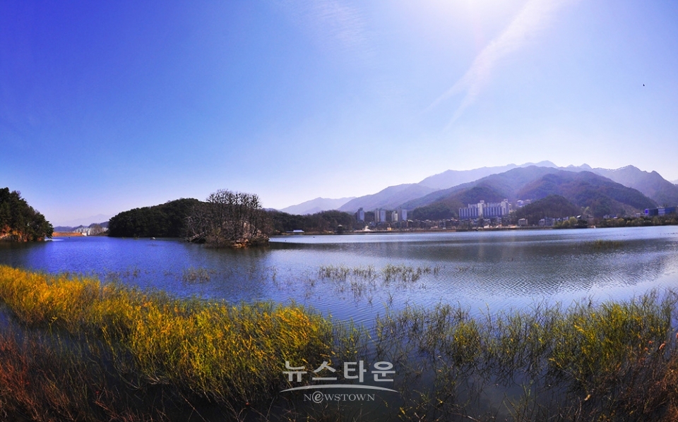 매지저수지의 거북섬과 민물가마우지