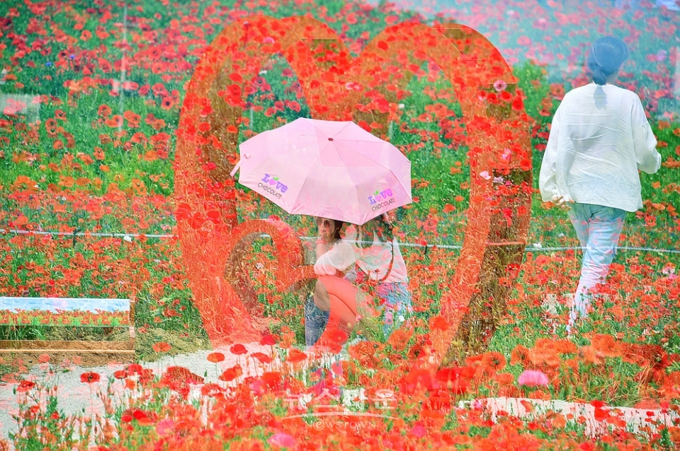 다중촬영으로 사진찍기