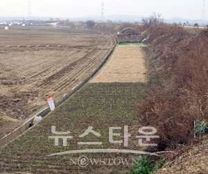 하천 내 불법 경작행위