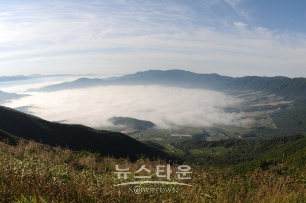 펀치볼 전경
