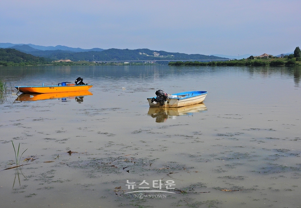 여주시 흥천면 상백리 남한강 정겨운 보리축제