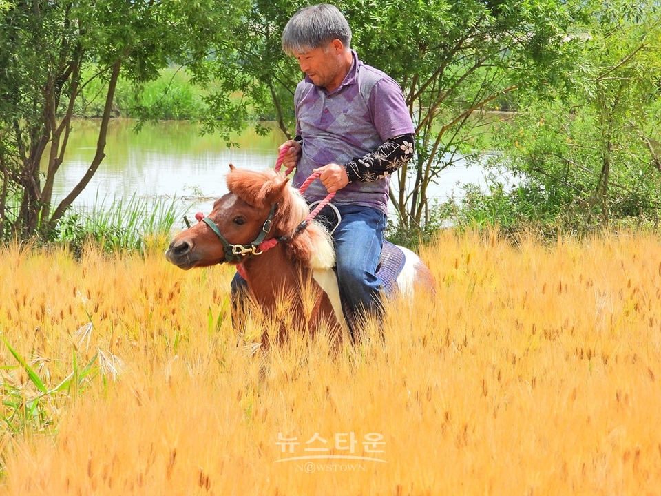 여주시 흥천면 상백리 남한강 정겨운 보리축제