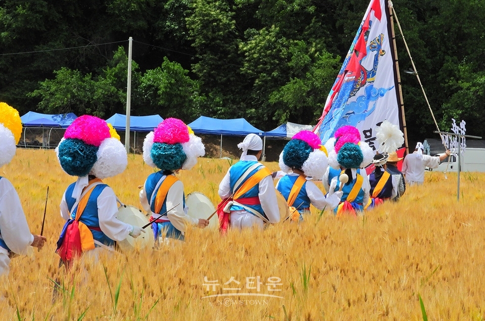 여주시 흥천면 상백리 남한강 정겨운 보리축제