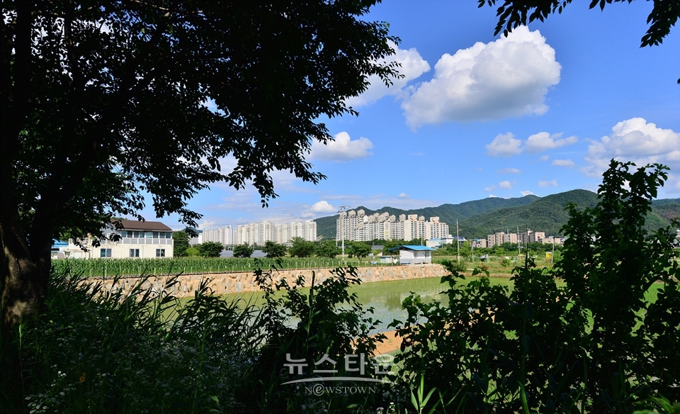 농촌풍경과 파랗고 맑은 하늘