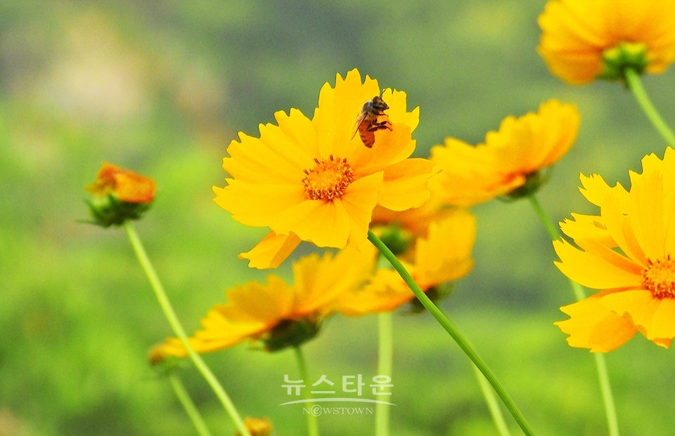 농촌의 풍경