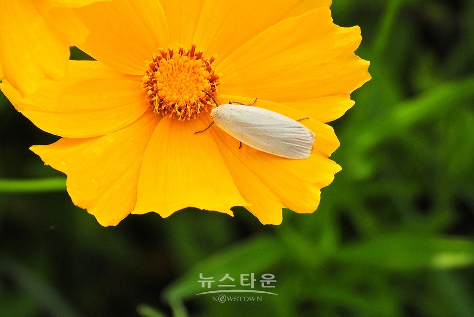 농촌의 풍경