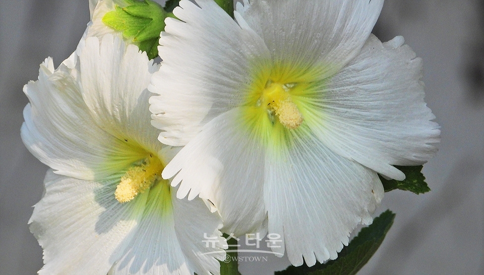 농촌의 풍경