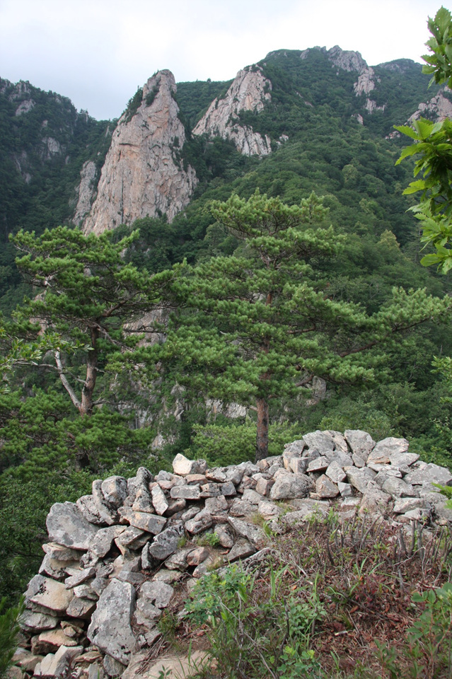 인제 한계산성