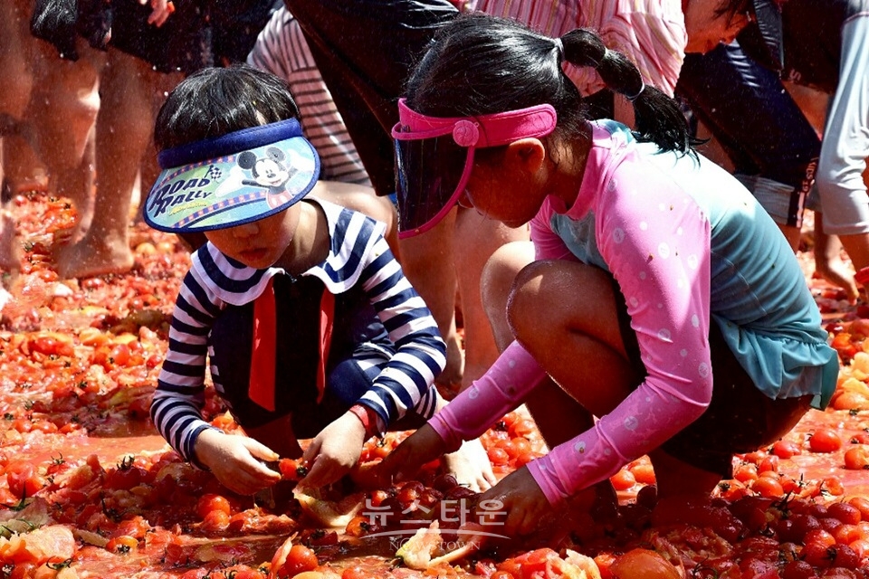 둔내 토마토축제