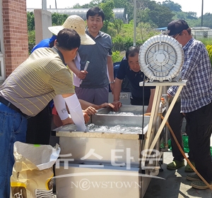 냉이세척기 시연