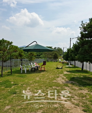 반려동물 놀이터