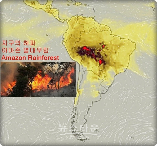 보우소나루 브라징 정부는 환경법 위반기업에 대한 벌금 감면, 아마존 원주민 보호구역 내 광산개발을 허용, 환경 보호구역을 대폭 해제하는 등 아마존 열대우림의 ‘보존’보다는 ‘개발’을 우선시하는 정책을 추진하고 있어 우려가 더 깊어지고 있다.
