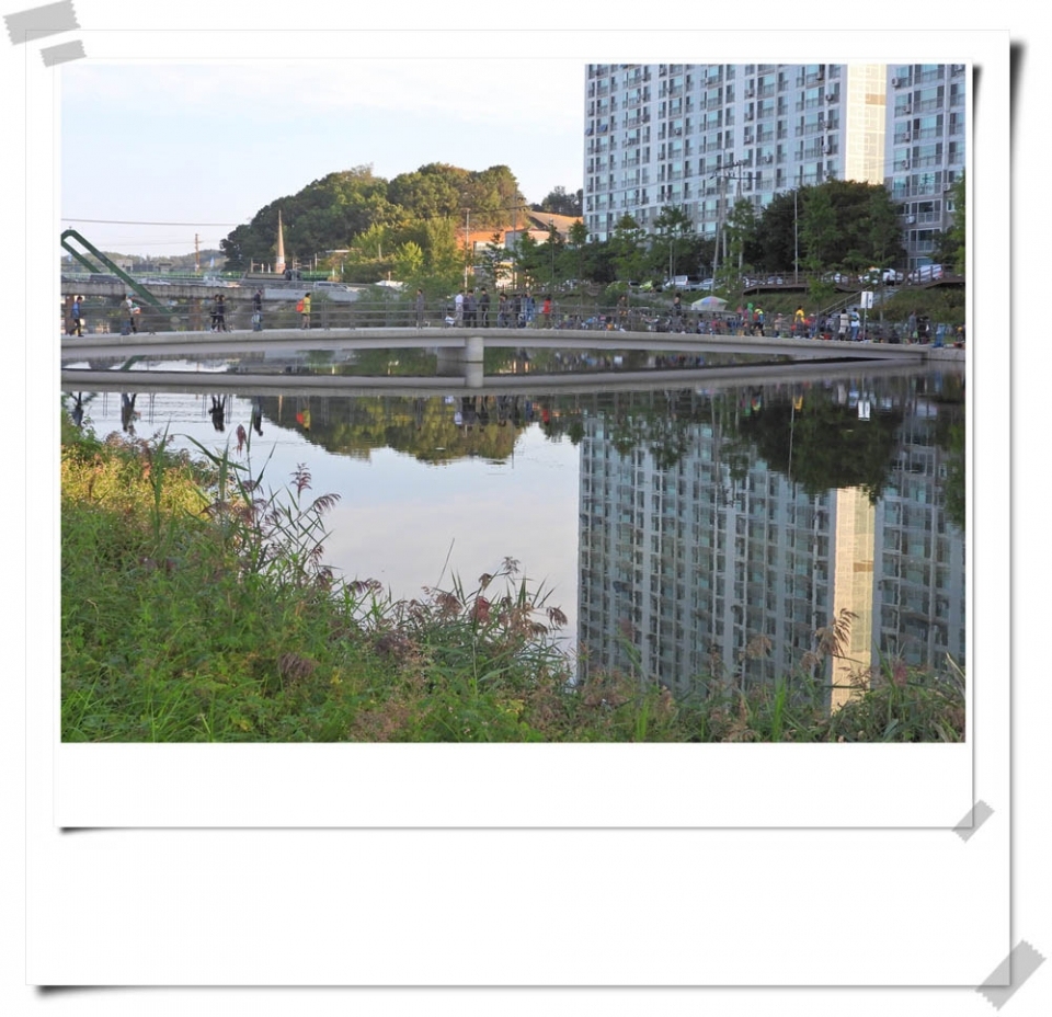 원주의 명물 새벽시장