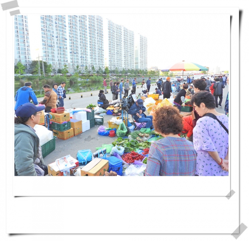 원주의 명물 새벽시장
