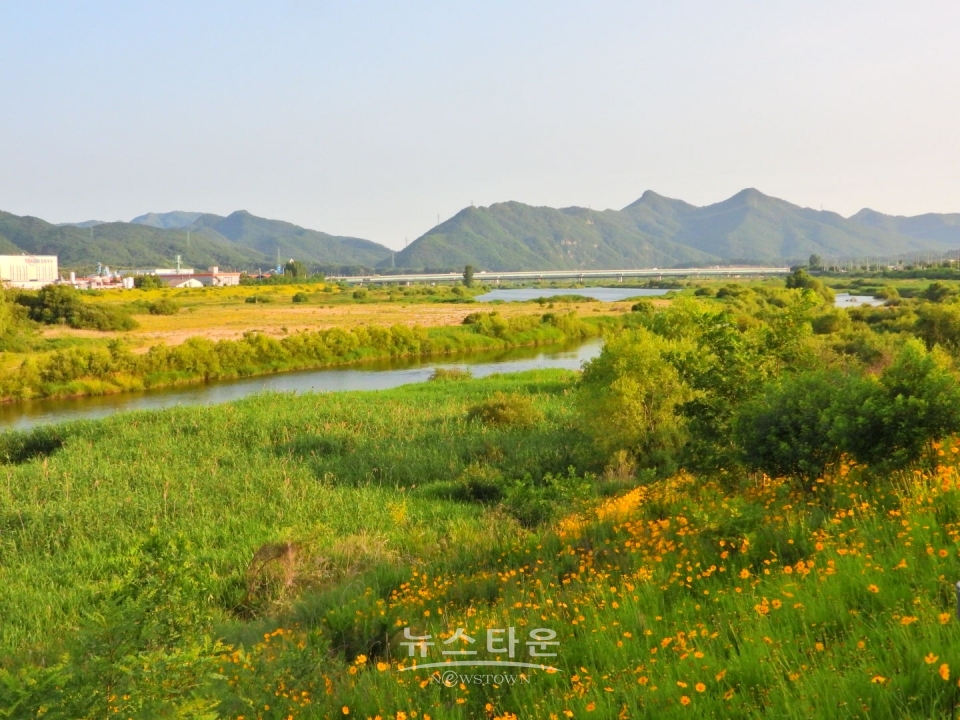 섬강