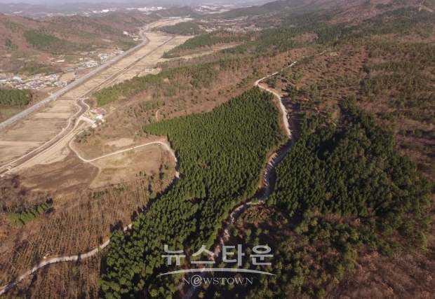 산림청은 2022년까지 선도 산림경영단지 내 특화임산물재배단지 20개소를 조성 하여 산림경영 혁신에 나선다는 계획이다(사진-산림청)