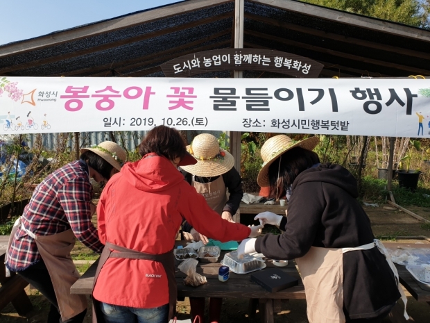 도시농부학교 부대 행사 프로그램 봉숭아 꽃 물들이기