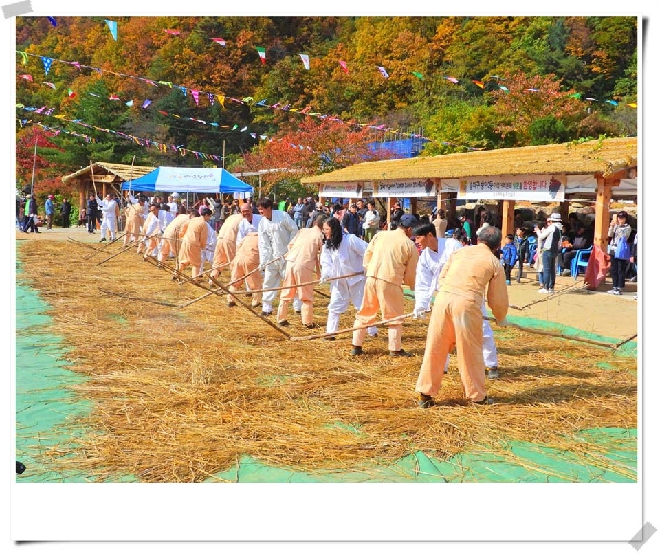 인제읍 하추리체험마을 제8회 도리깨축제