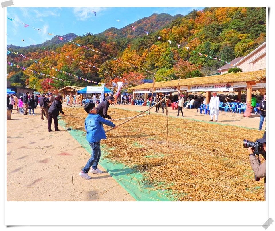 인제읍 하추리체험마을 제8회 도리깨축제
