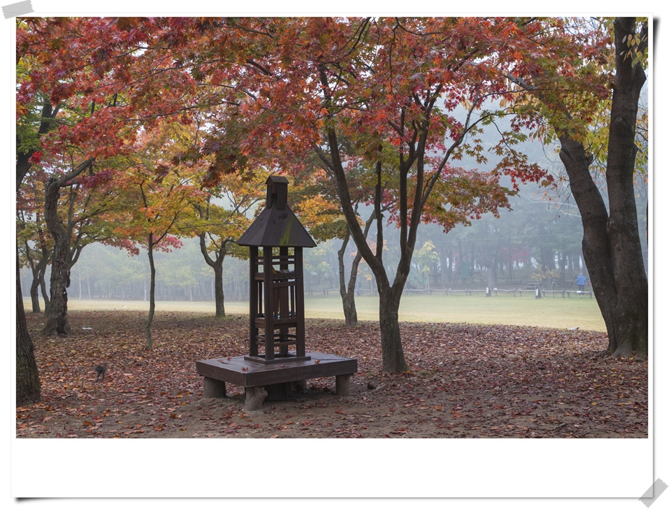 사진 : 남이섬 제공