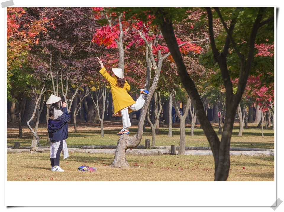 사진 : 남이섬 제공