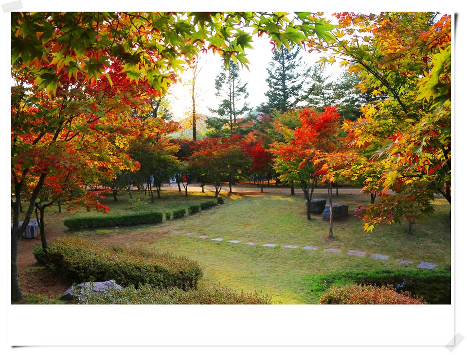 사진 : 남이섬 제공
