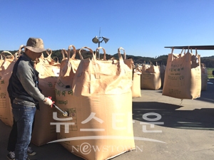 2019년산 공공비축미곡 건조벼 수매