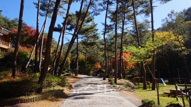 경북 영양군에 위치한 국립 검마산 자연휴양림 입구(사진-산림청)