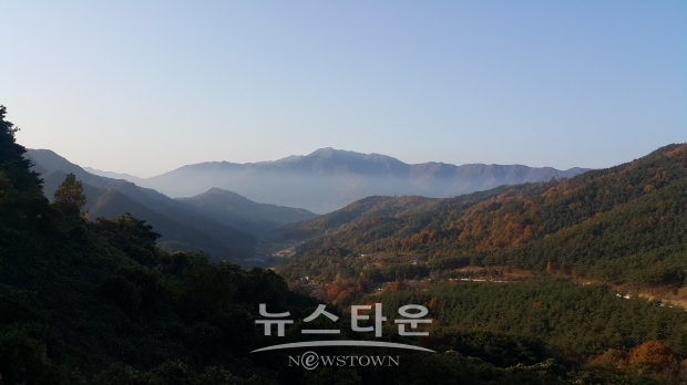 산림청은 산림 경영을 지역산업으로 만들어 갈 수 있도록 3가지 유형의 선도 산림경영단지 경영모델 마련해 29일 발표했다(사진 - 경남 산청군  모고산 산림 경영단지 )